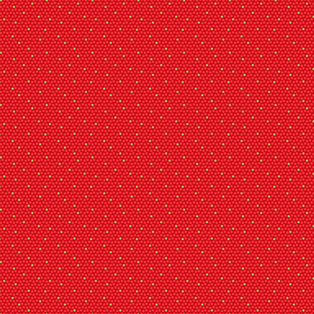 Extreme Santa Dotty Red 25444-24 Fabrics Northcott   