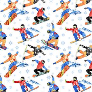 Winter Sports Snowboarding 27239-10 Fabrics Northcott   