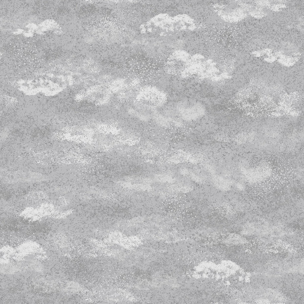 Dreams Grey D19 Fabrics Lewis & Irene   