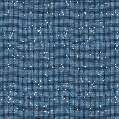 Stash Check Blue 92023-42