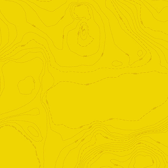 Alison Glass Sunprint 2023 Topography Lemon A556Y Fabrics Andover