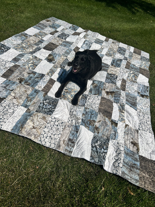 Koby, a finished quilt from the quilt along