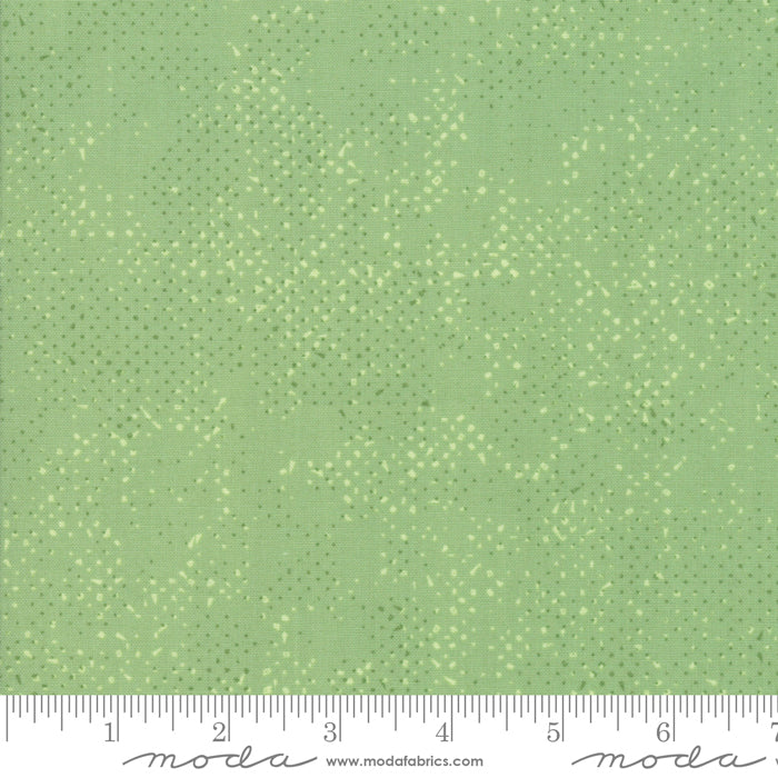 Spotted Celadon 1660 64 Fabrics Moda Fabrics   